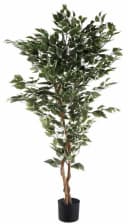 Creativ green Kunstpflanze Ficus Benjamini Grün Bild 2