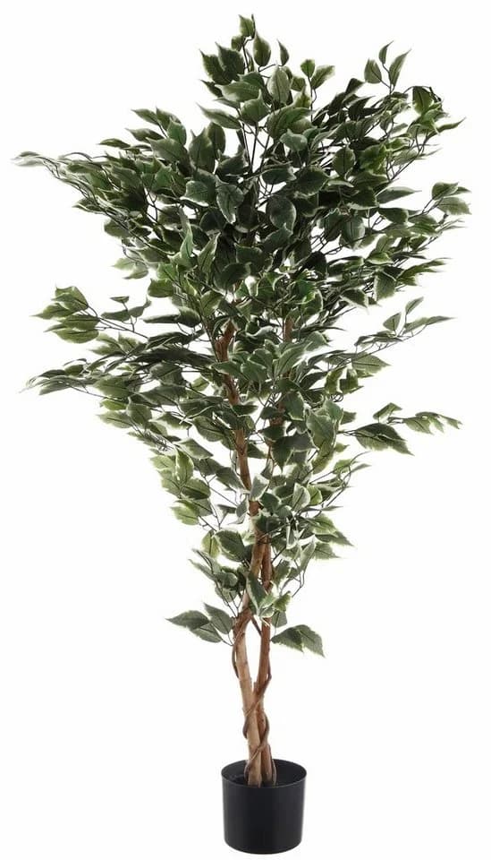Creativ green Kunstpflanze Ficus Benjamini Grün - Bild 2