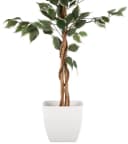 Creativ green Kunstpflanze Ficus Benjamini Grün Bild 3