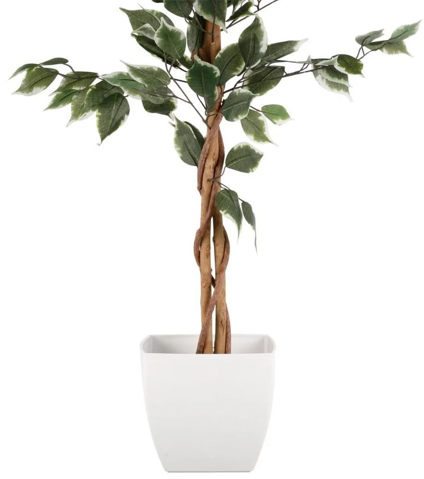 Creativ green Kunstpflanze Ficus Benjamini Grün - Bild 3
