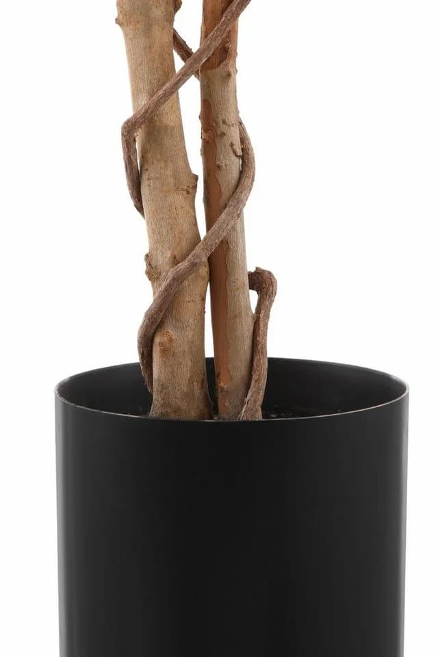 Creativ green Kunstpflanze Ficus Benjamini Grün - Bild 5