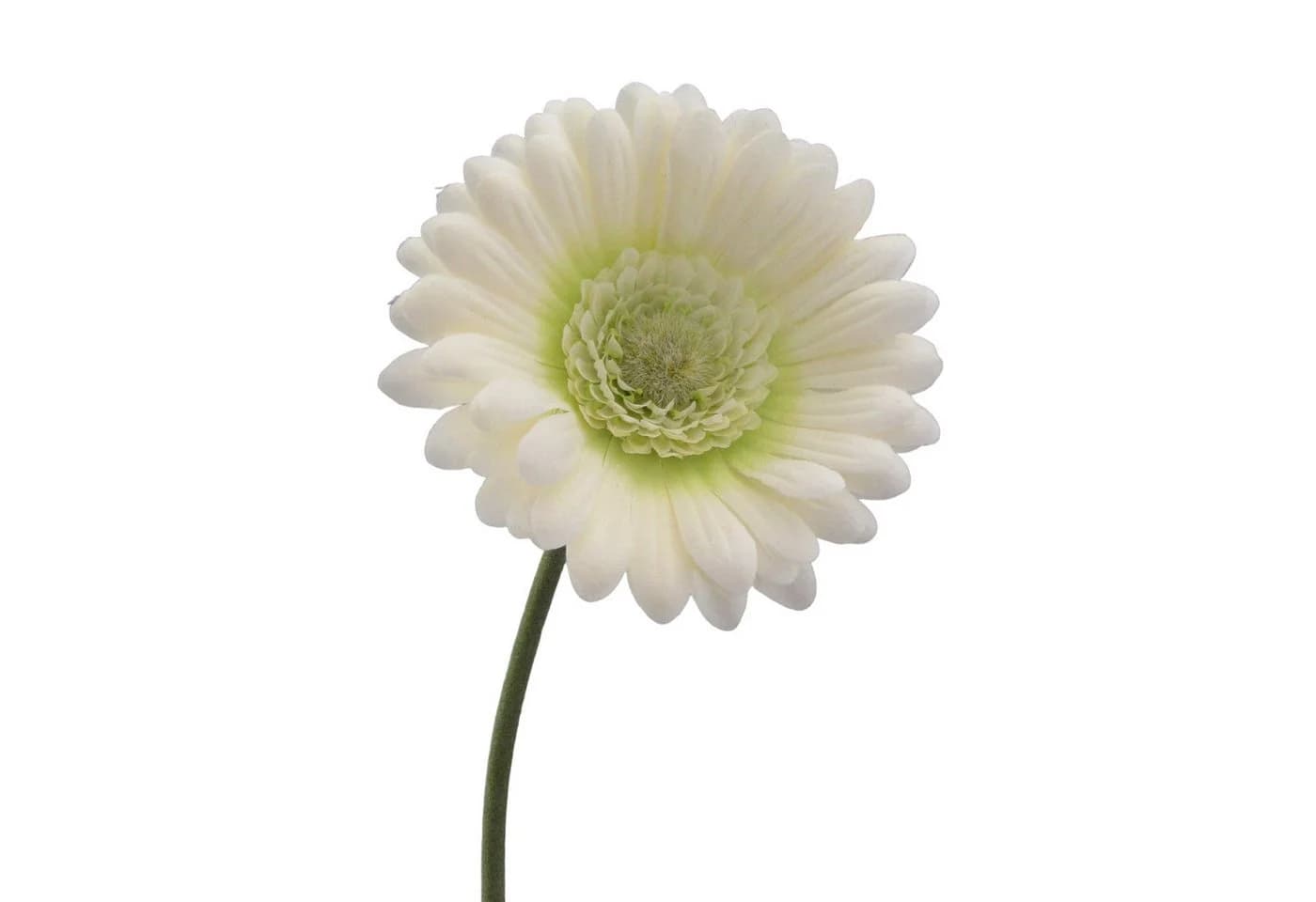 Gasper Kunstblume Gerbera Creme 50cm