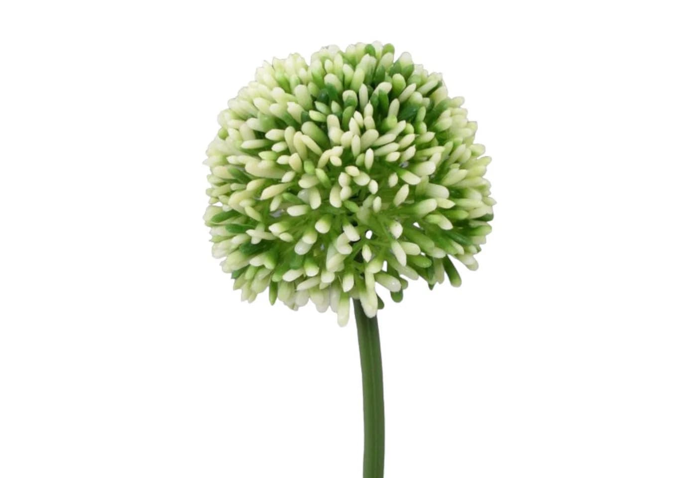 Gasper Kunstblume Allium ca. 44 cm Grün/Weiß