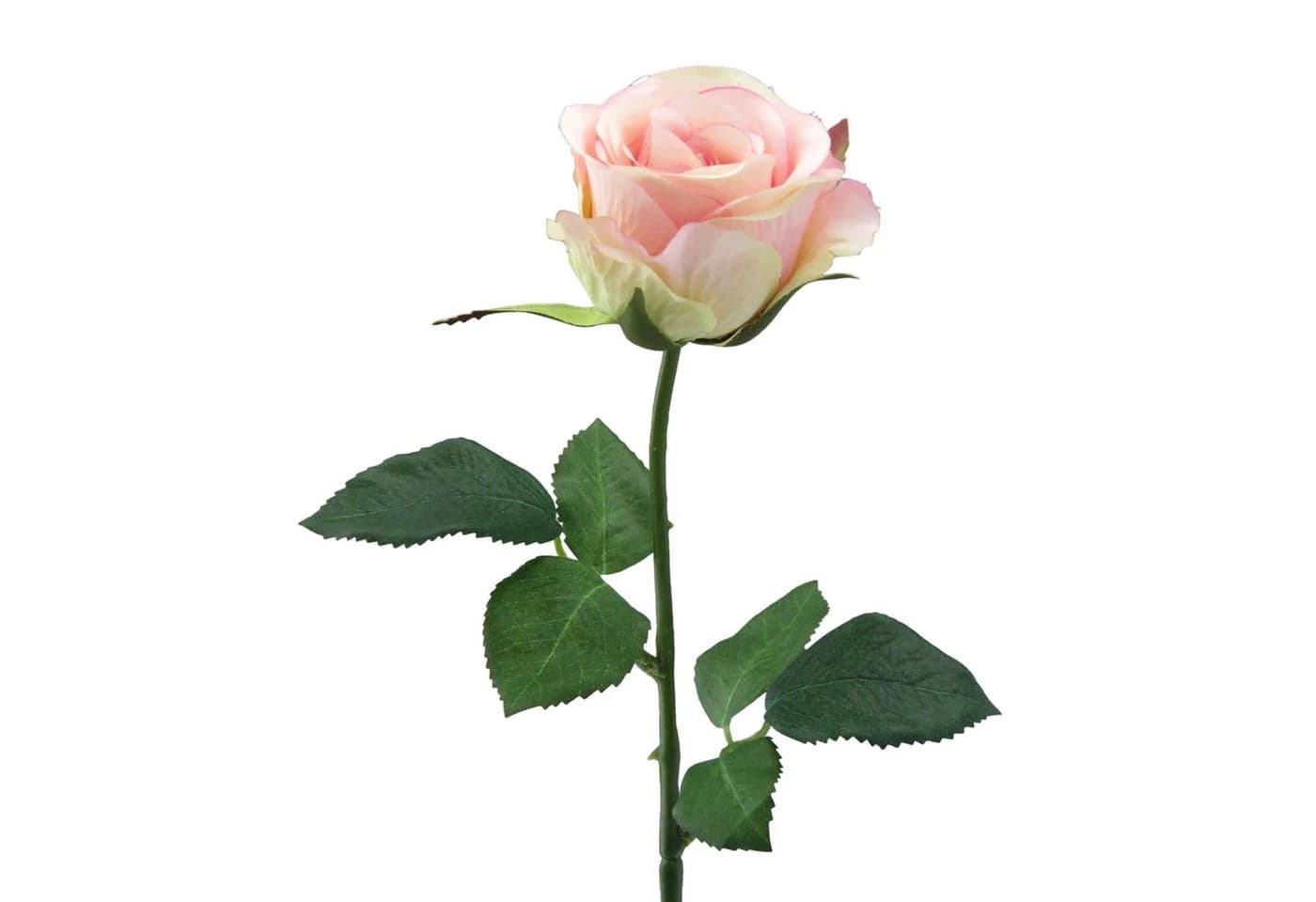 Kunstblume Künstliche Rose Wasserstiel, ca 47cm. Kunstblume Dekoblume, Gasper