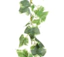 Kunstgirlande Künstlicher Efeu Engl. MINI-EFEUGIRLANDE ca 180cm. GRÜN-WEISS, Gasper Bild 2