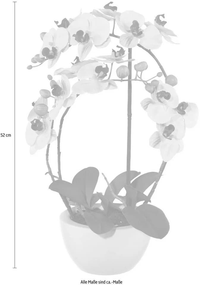 Creativ green Kunstpflanze Phalaenopsis Orchidee Rosa Grün 52 cm