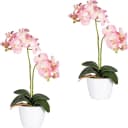 CREATIV GREEN Kunstpflanze Phalaenopsis Rosa Bild 2
