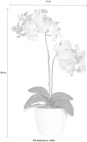 CREATIV GREEN Kunstpflanze Phalaenopsis Rosa Bild 3
