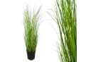 Kunstgras Grasbusch Topf 50cm Gasper Bild 3