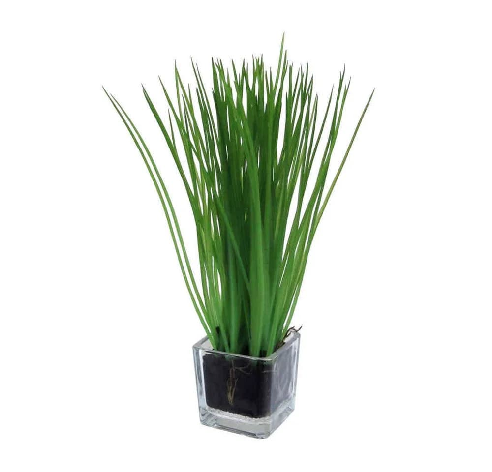 Gasper Kunstgras-Busch mit Glas ca. 23 cm Grün