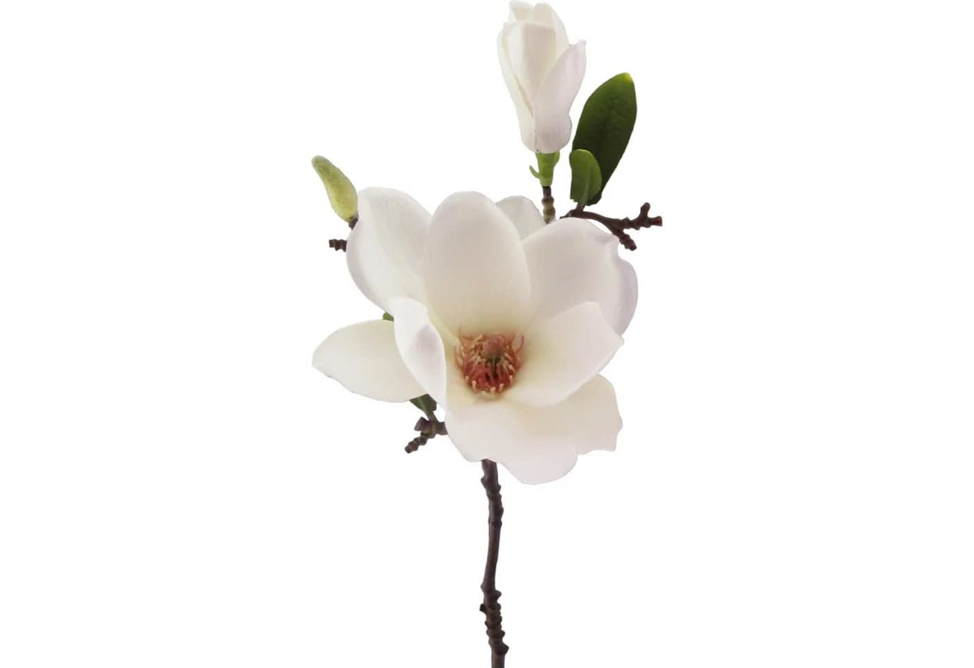 Kunstblume Magnolie 37cm mit Blüte und Knospe von Gasper