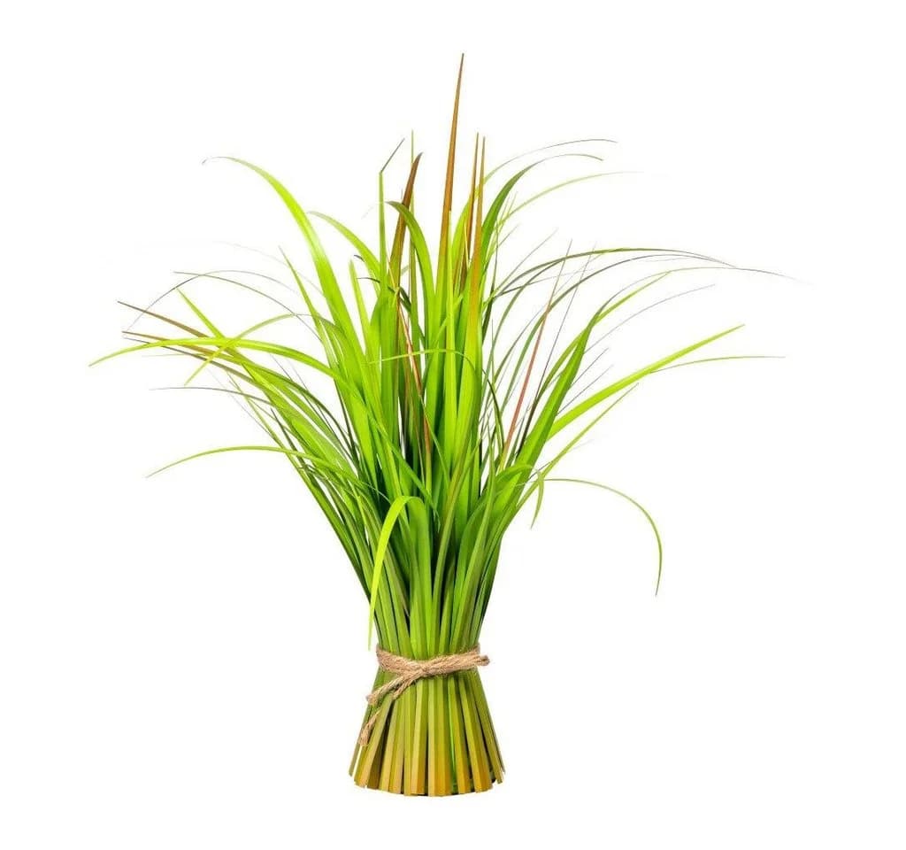 Kunstgras Kunstpflanze MISCANTHUS Grasbund, Gasper