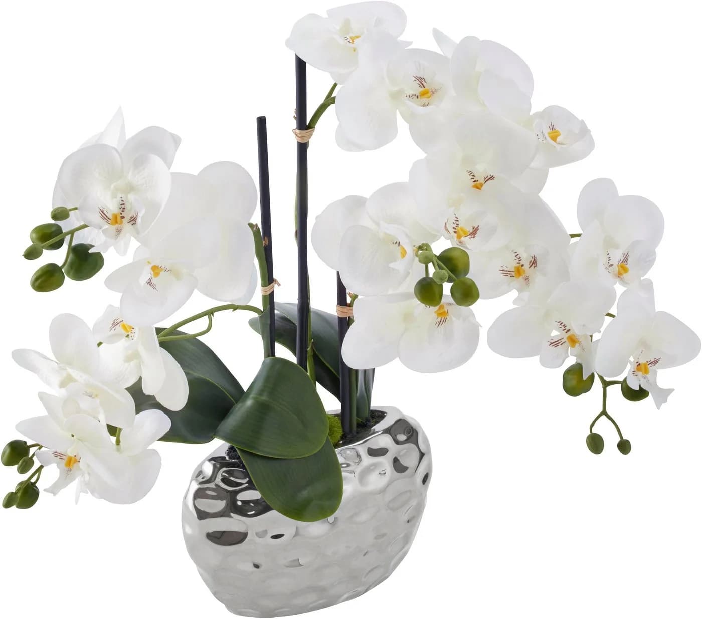Creativ green Kunstpflanze Orchidee Silber Keramiktopf 55 cm - Bild 3