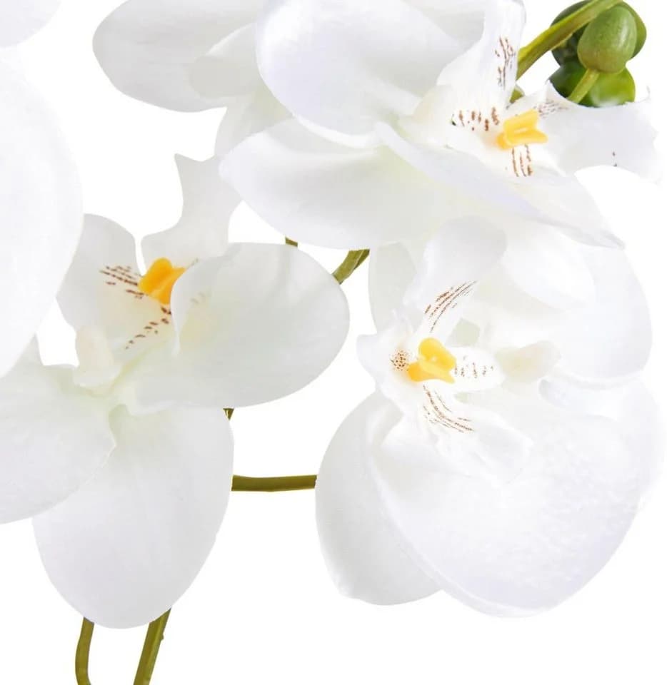 Creativ green Kunstpflanze Orchidee Silber Keramiktopf 55 cm - Bild 4
