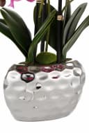 Creativ green Kunstpflanze Orchidee Silber Keramiktopf Bild 4