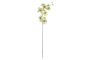 Kunstorchidee Kunstblume, ORCHIDEENZWEIG, Orchidee 78cm, Gasper Bild 1