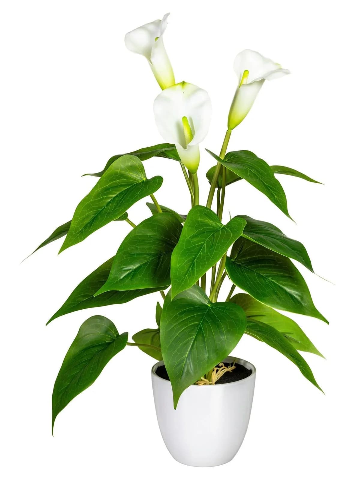 GASPER Kunstpflanze Calla Grün/Weiß mit Topf