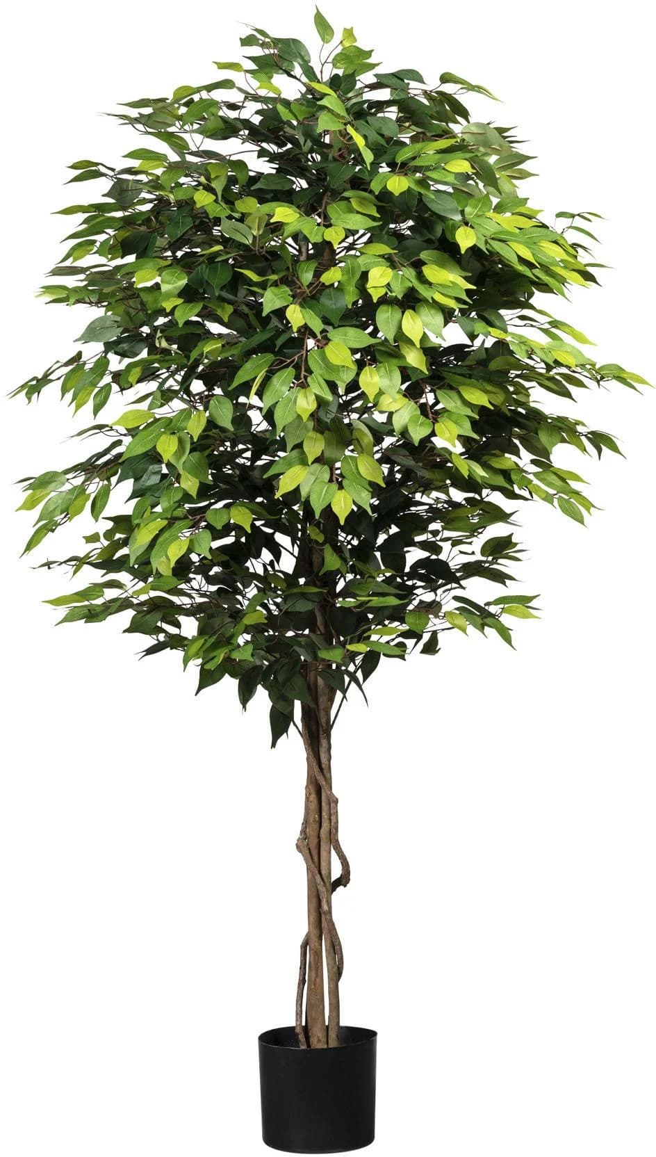 CREATIV GREEN Kunstpflanze Ficus Benjamini Grün - Bild 3