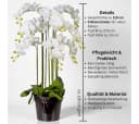 Kunstorchidee Phalaenopsis Orchidee im Topf 110cm Weiß Gasper Bild 1