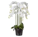 Kunstorchidee Phalaenopsis Orchidee im Topf 110cm Weiß Gasper Bild 2