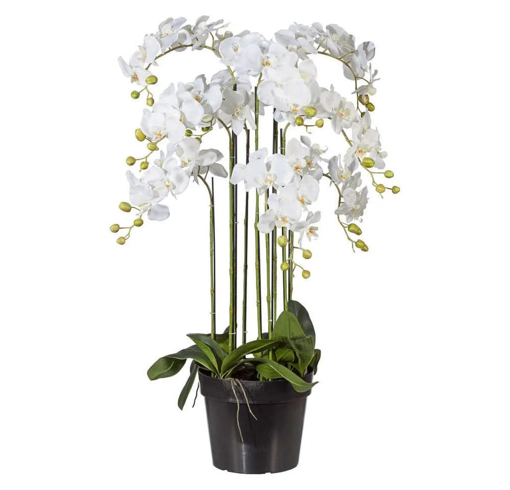 Kunstorchidee Phalaenopsis Orchidee im Topf 110cm Weiß Gasper - Bild 2