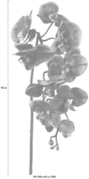 Creativ green Kunstpflanze Orchidee 3er Set Klassisch Bild 3