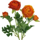CREATIV GREEN Kunstblume Ranunkel Orange 6er Set 40cm Bild 1
