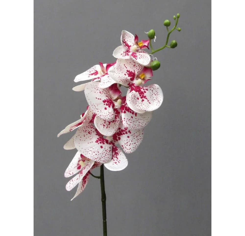 Gasper Kunstorchidee Phalaenopsis 86cm Weiß-Violett