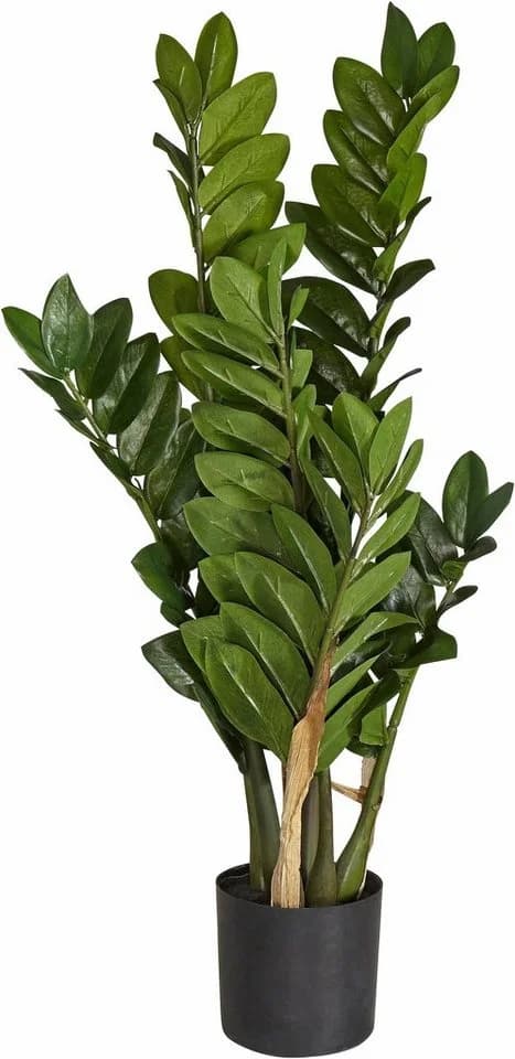 Creativ Green Kunstpflanze Zamifolia Grün 70cm