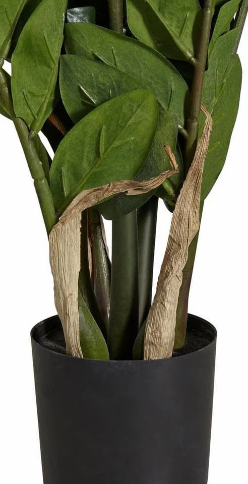 Creativ Green Kunstpflanze Zamifolia Grün 70cm - Bild 3
