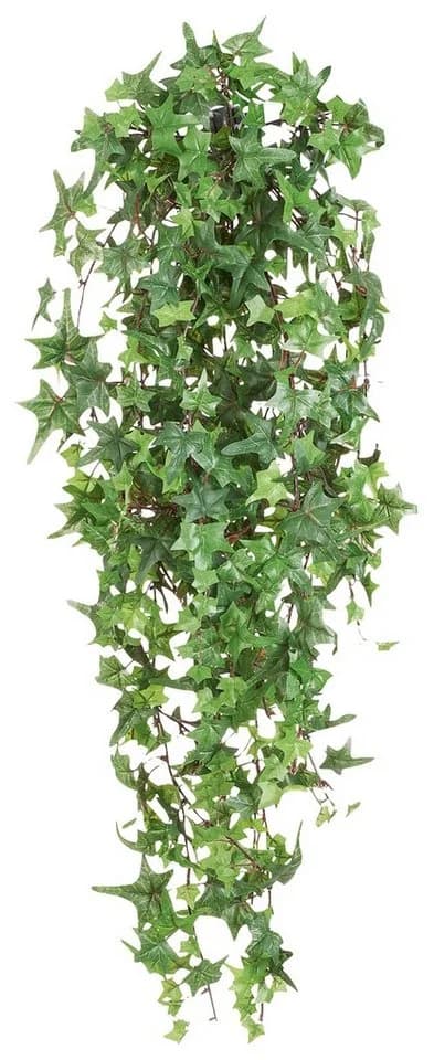 Creativ green Englische Efeuranke Grün 120cm Kunstpflanze - Bild 2
