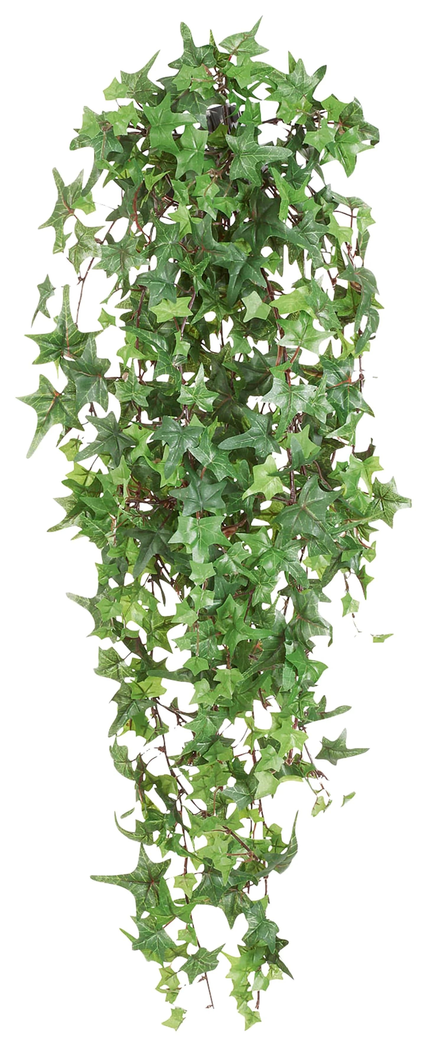 Creativ green Englische Efeuranke Grün 120cm Kunstpflanze - Bild 4