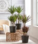 Dehner Übertopf Basic Blumentopf rund Keramik glasiert grau Bild 3
