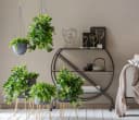 Dehner Blumenampel Hängeampel Glasierte Keramik Bild 1