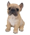 Dehner Gartenfigur Französische Bulldogge Welpe Beige Polyresin Bild 2