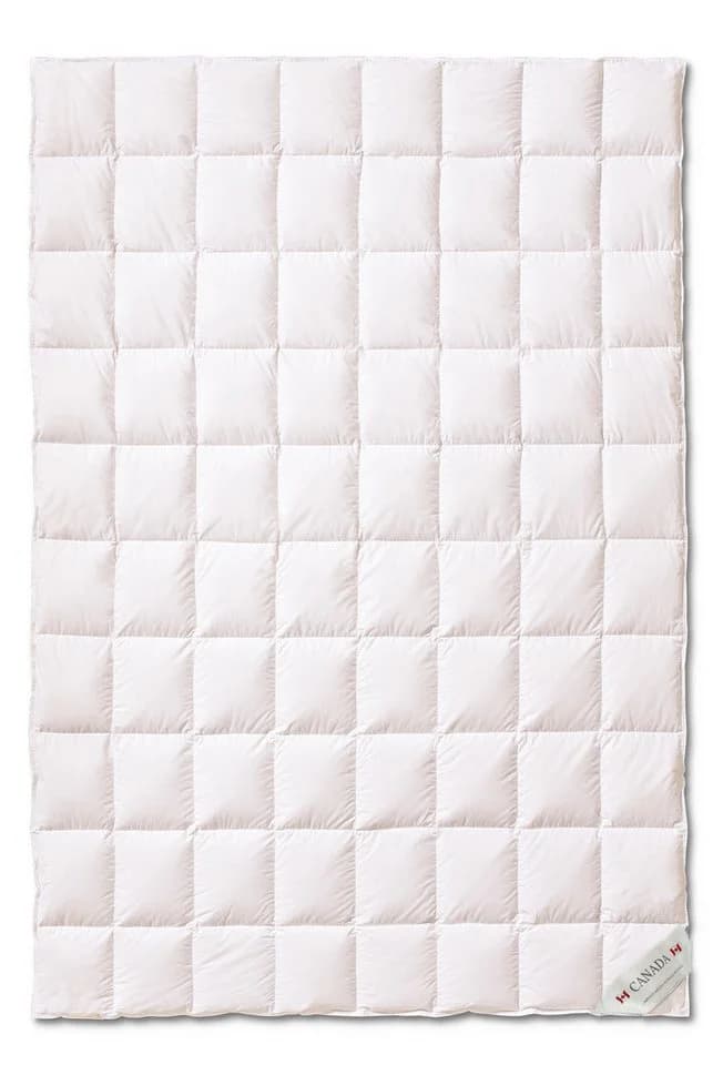 Canada Sommerbettdecke extra light 100% Natur Daunen Feder - Bild 2