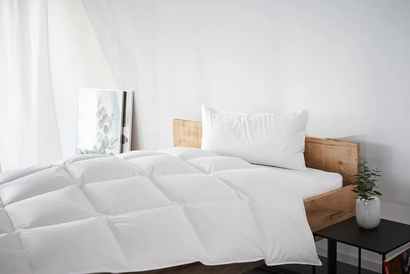 OTTO home Federkissen Kyam 85% Federn 15% Daunen Baumwolle Weiss