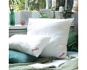 Paradies Kopfkissen Softy medium Bio 100% Baumwolle Polyester Bild 1