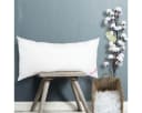 Paradies Kopfkissen Softy medium Bio 100% Baumwolle Polyester Bild 3