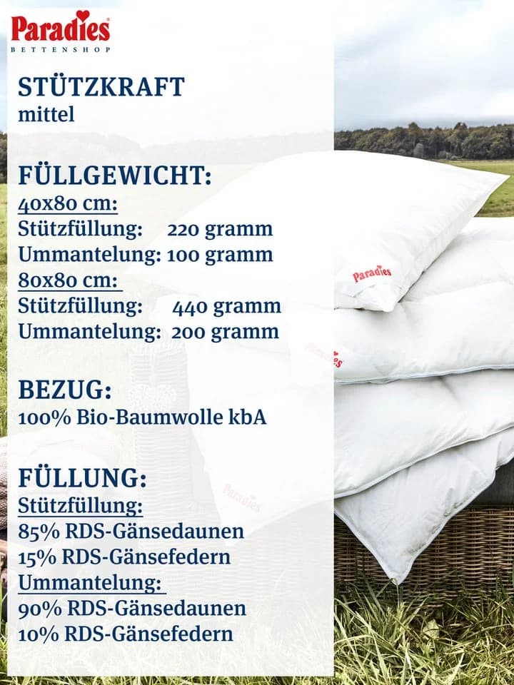 Paradies Abbie Bio Kopfkissen 3-Kammer Daunen Federn Bio-Baumwolle - Bild 3