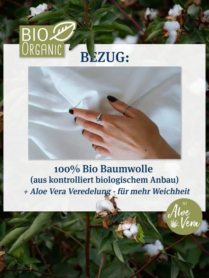 Paradies Abbie Bio Kopfkissen 3-Kammer Daunen Federn Bio-Baumwolle - Bild 5