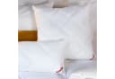 Paradies Kopfkissen Softy Top Plus Bio - Feste Stützkraft Bild 3