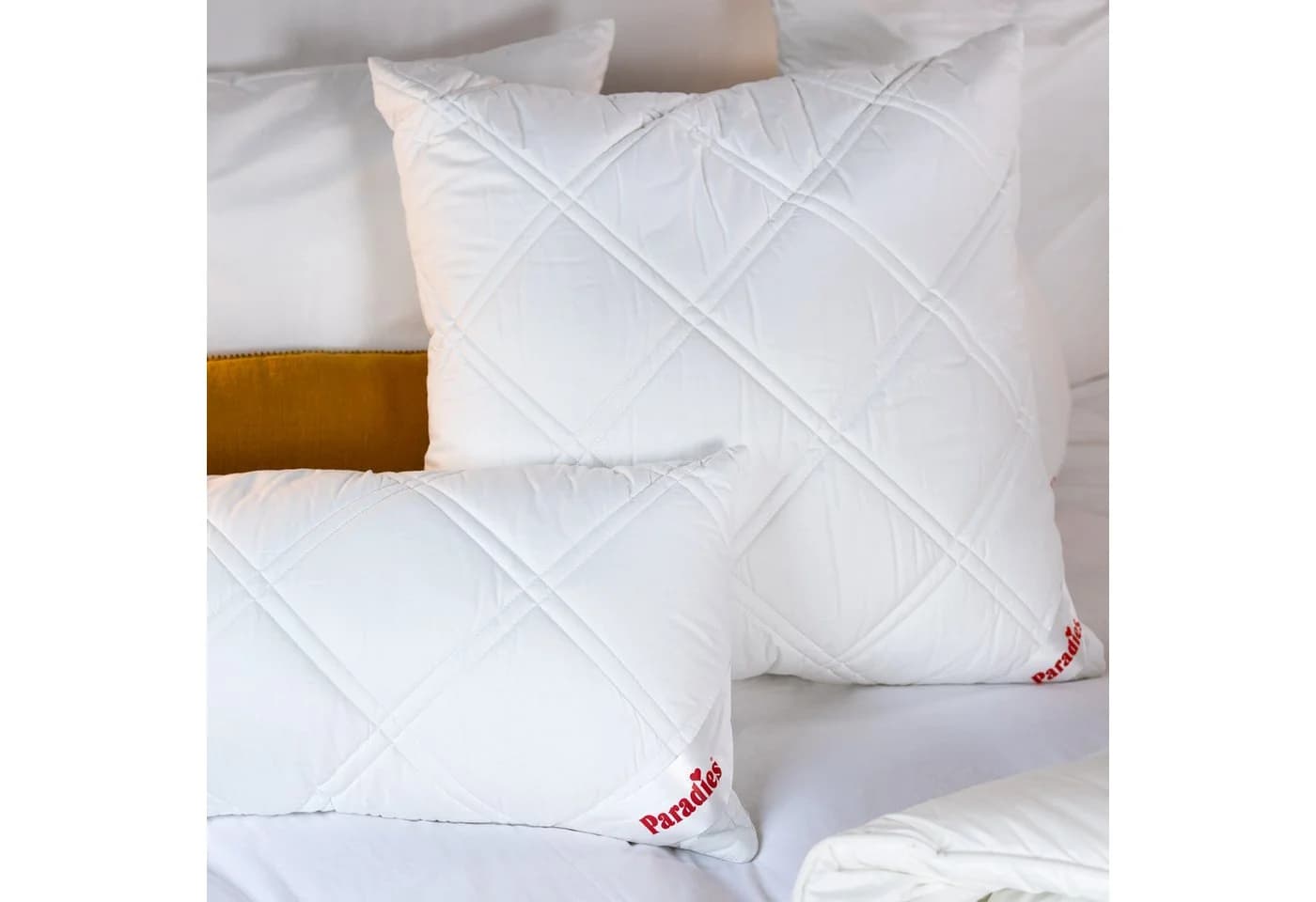 Paradies Kopfkissen Softy Top Plus Bio - Feste Stützkraft - Bild 3