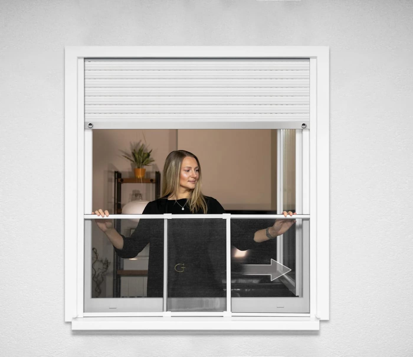 Schellenberg Insektenschutz-Schiebefenster Ausziehbar Aluminium