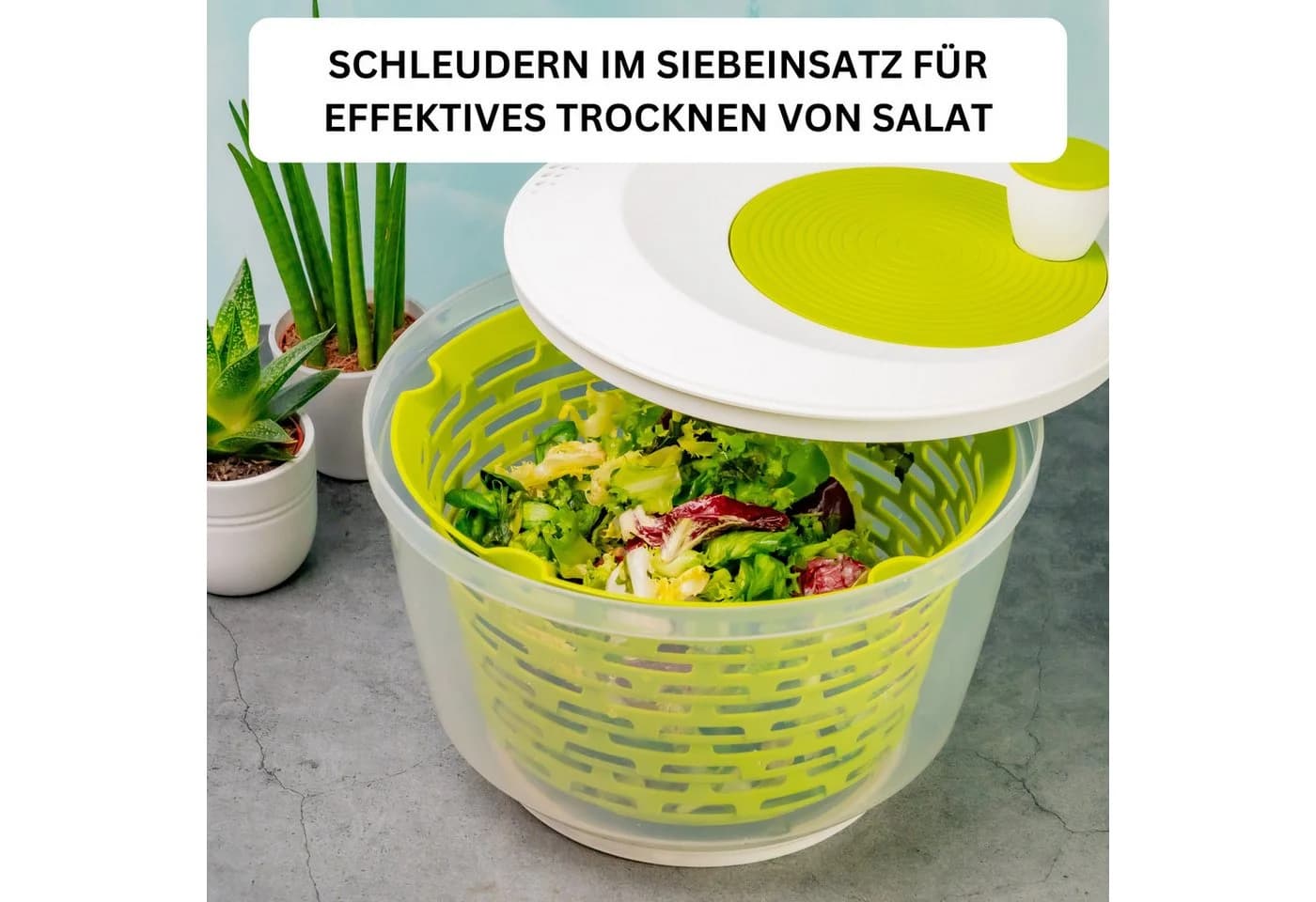 WESTMARK Salatschleuder Spinderella Grün Transparent - Bild 3