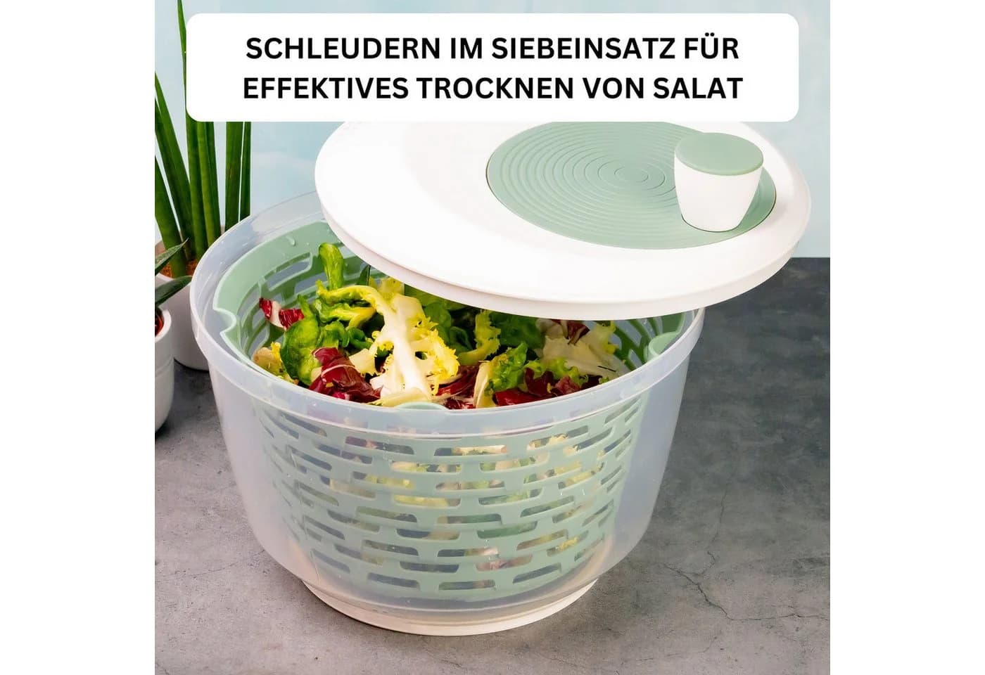 WESTMARK Salatschleuder Spinderella Mint-Grün BPA-frei - Bild 3