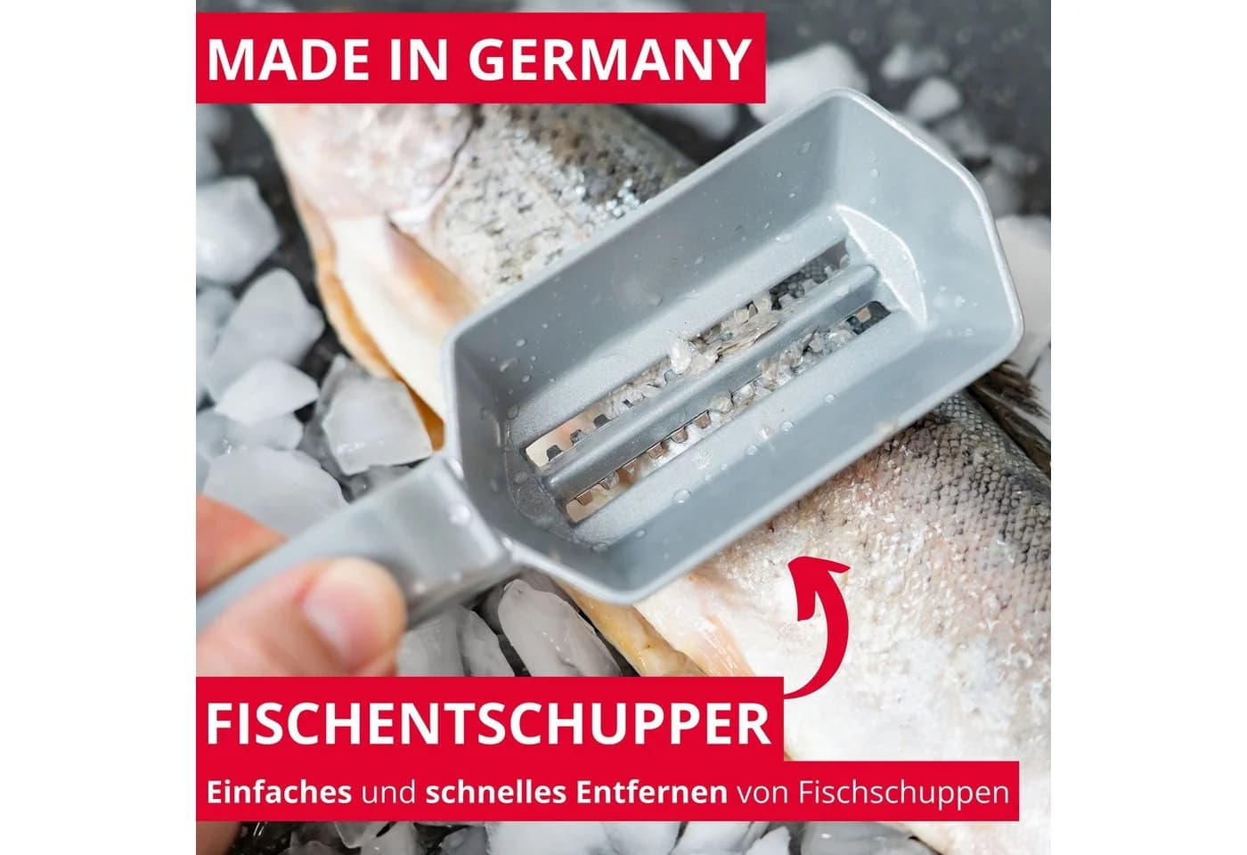 WESTMARK Fischentschupper Scalex mit Edelstahlklinge und Aluminiumgriff