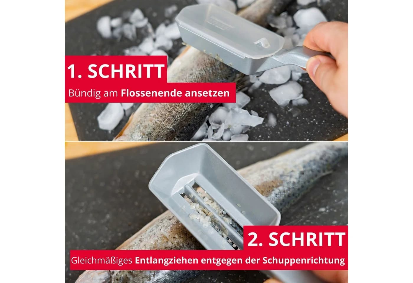 WESTMARK Fischentschupper Scalex mit Edelstahlklinge und Aluminiumgriff - Bild 4