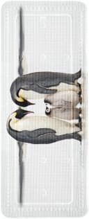 Wanneneinlage Pinguin-Familie - Schwarz/Weiß Bild 2