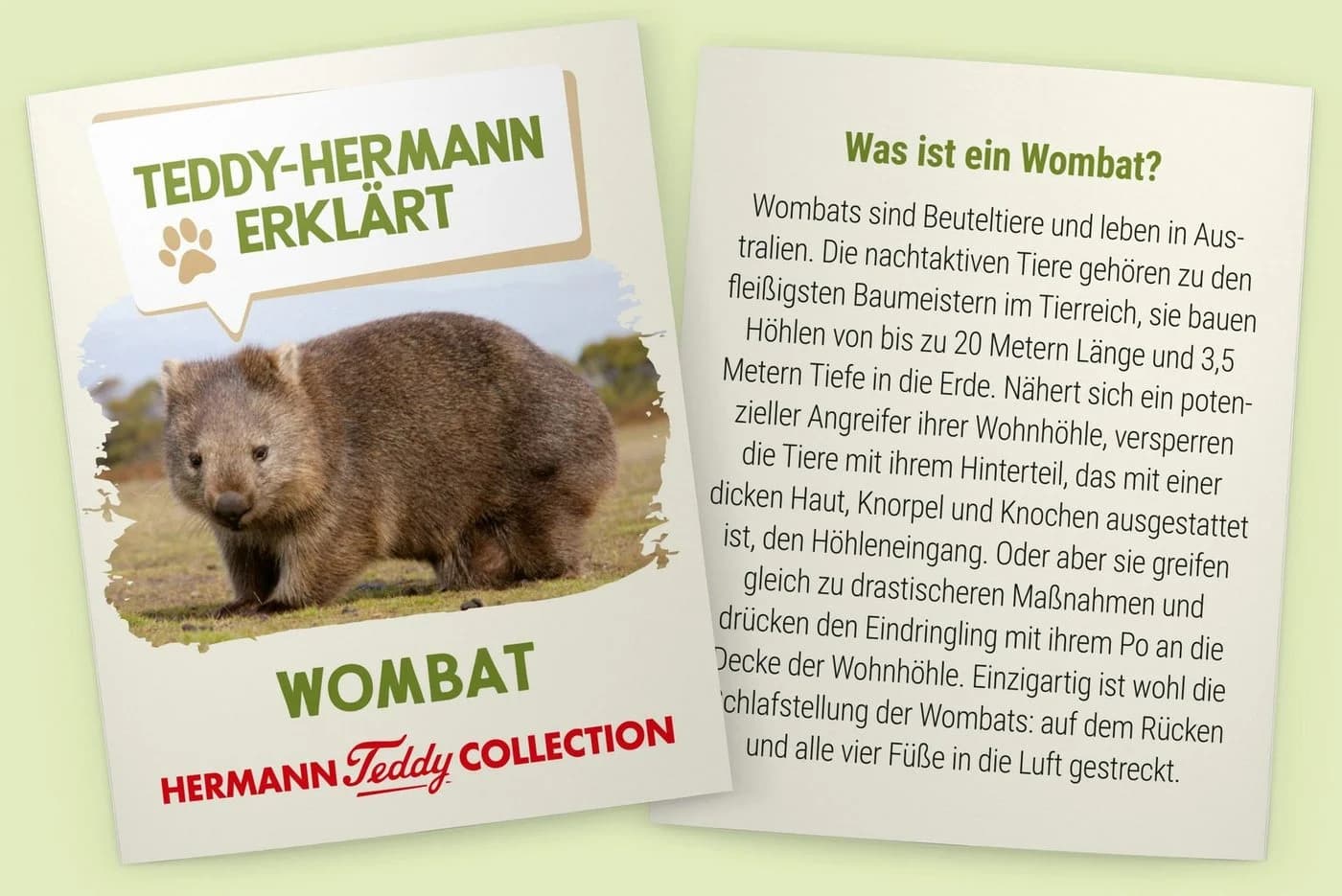 Teddy Hermann® Kuscheltier Wombat 26 cm Braun Polyester - Bild 3